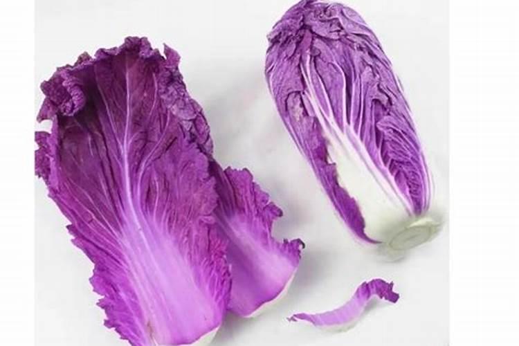 大白菜施什么肥比较好