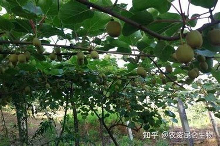 有机肥包装要求