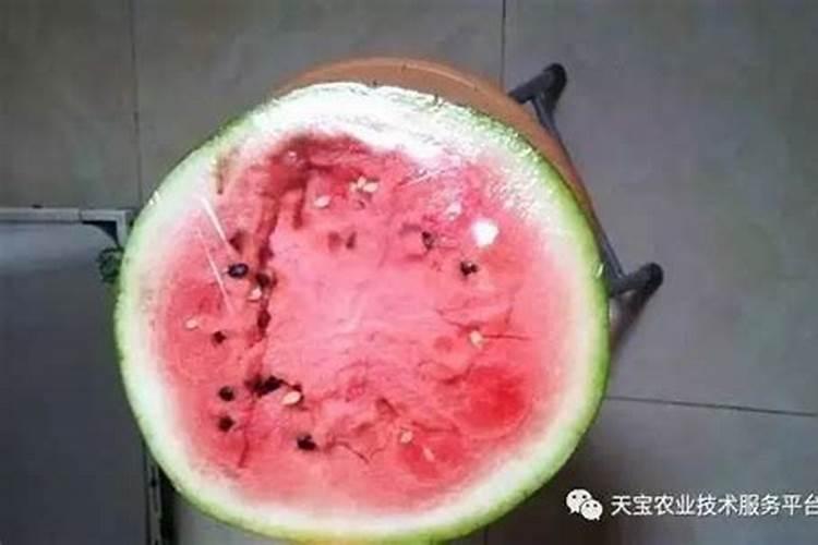 香菊片的作用