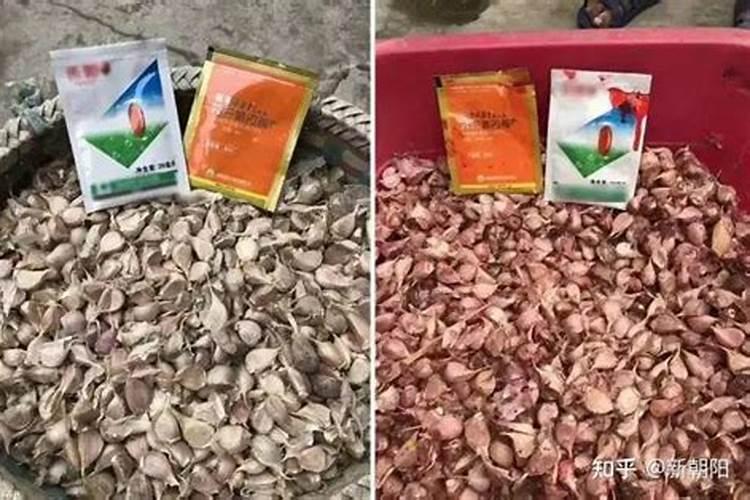 水溶肥什么品牌好？