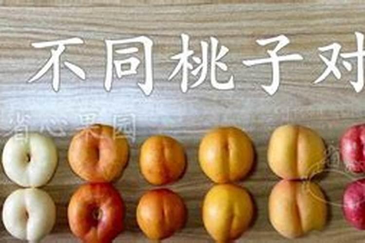 桃子成熟前多少天施钾肥