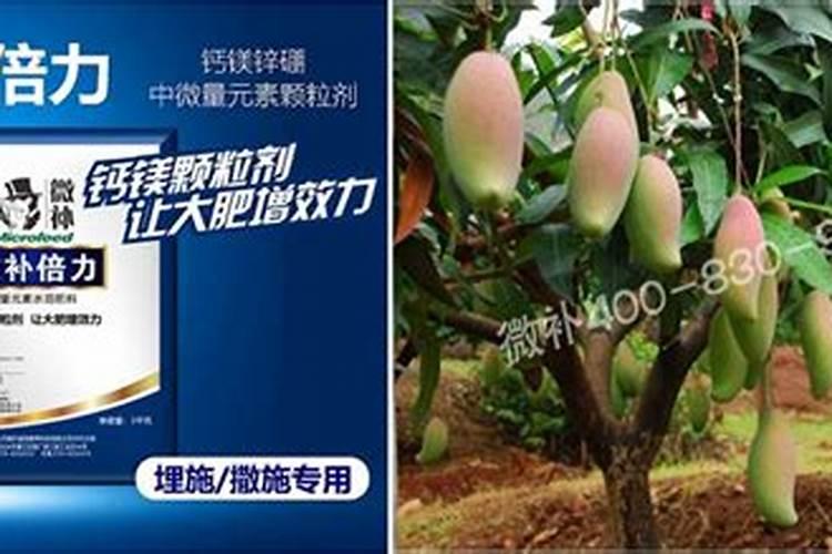 草莓换土时间和方法