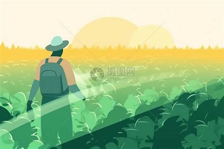 使用什么方法能解除农达除草剂的药害