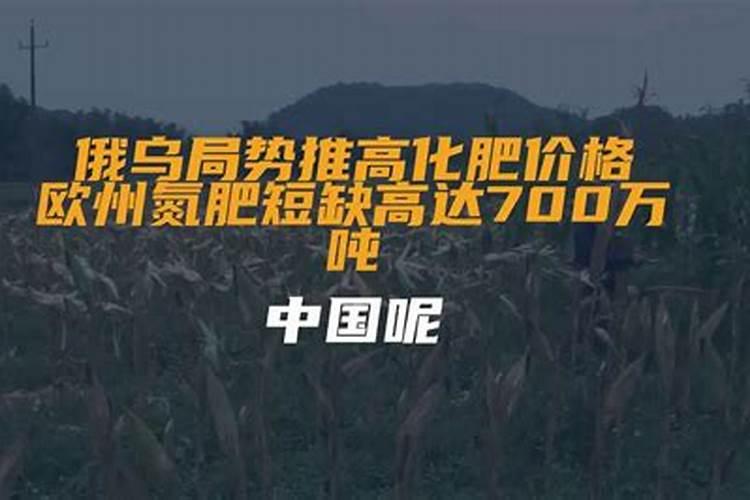 俄罗斯是全球第几大氮肥出口国