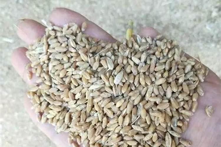 林州邮政编码多少