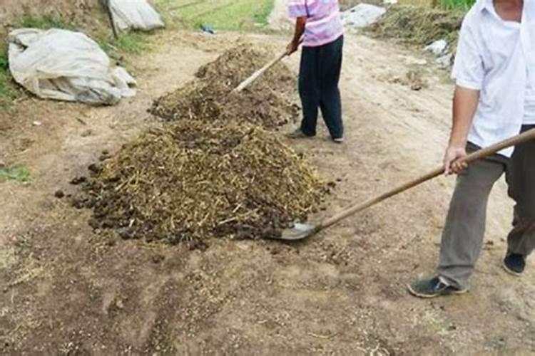 ...问题.(1)菜农常常对温室内的土栽蔬菜施用有机肥,有经验