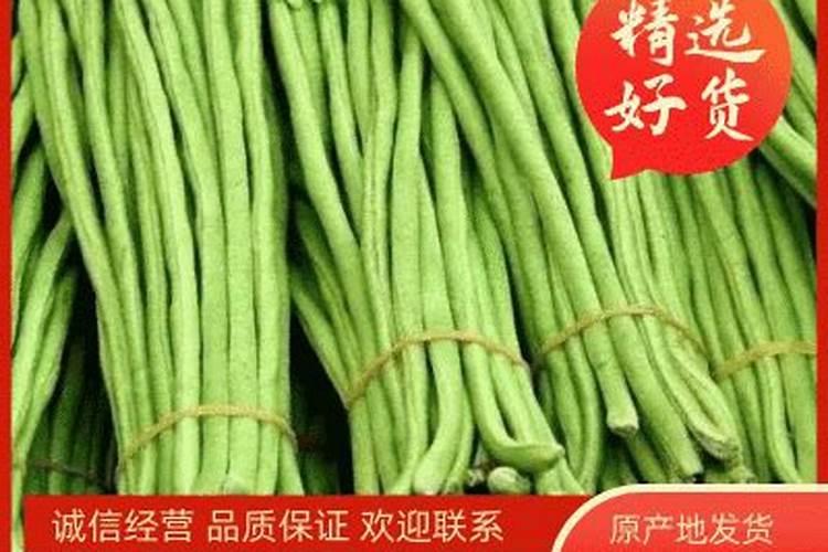 豆角什么时候施肥施什么肥开花多