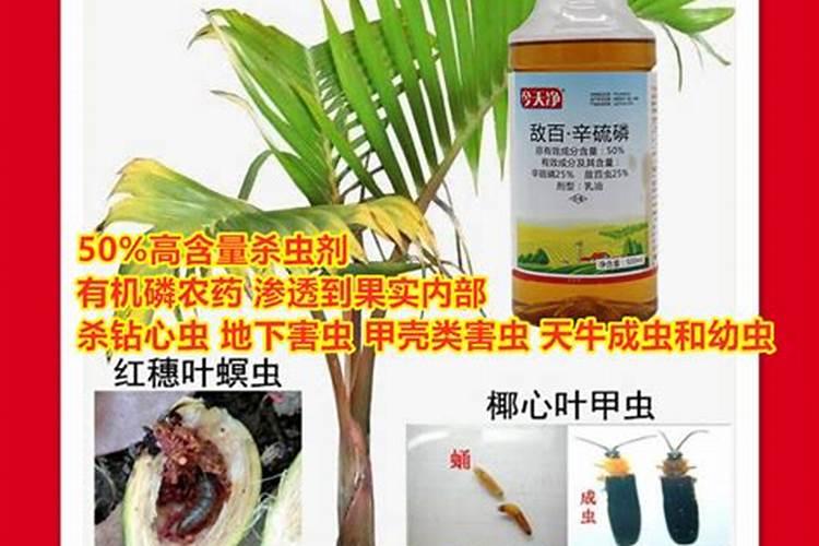 百香果怎么种植才能提高产量和品质呢？