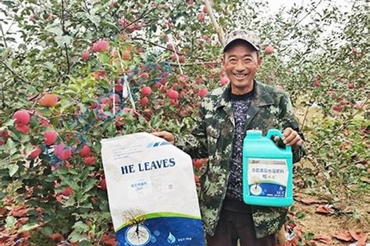 苹果用什么水溶肥好