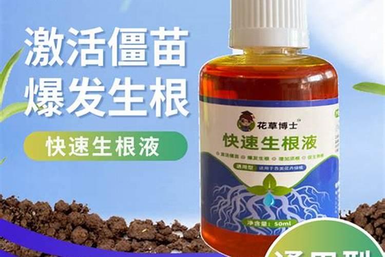 营养液肥与化肥的区别？