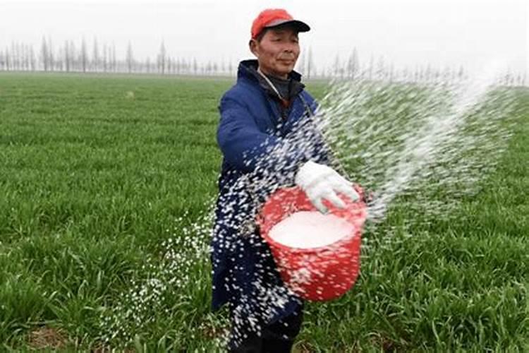 贝类养殖过量使用化肥危害到底有多大