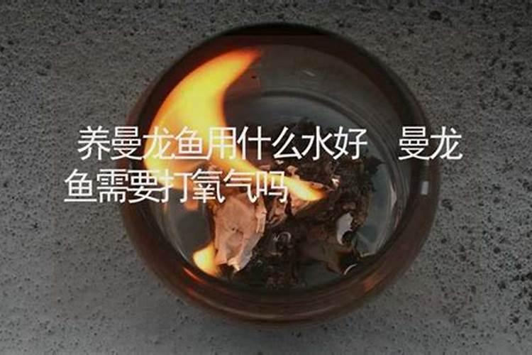 水养绿萝怎么养才茂盛,掌握5个方法完美解决