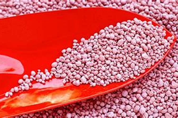 多肉施肥用什么肥料 多肉施肥方法