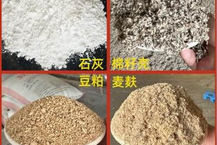 水稻怎样防止倒伏