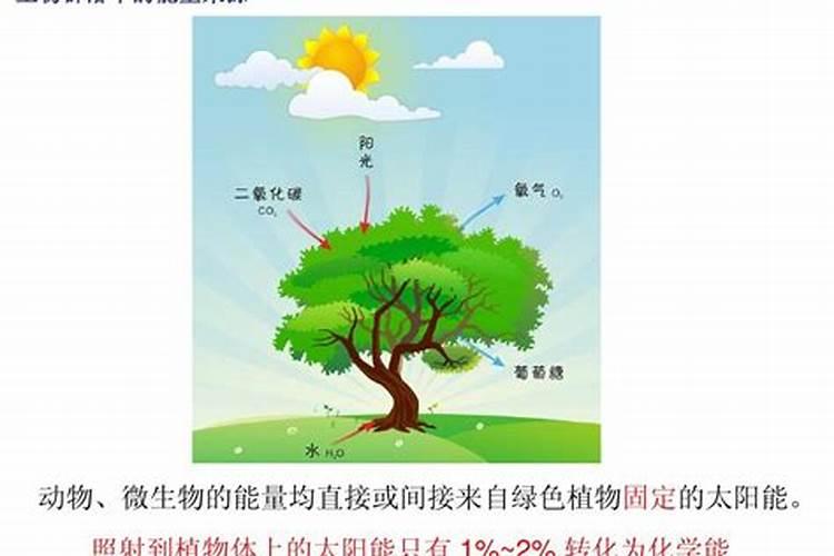畜禽提供的有机肥中的化学能也是生态系统的能量来源吗？