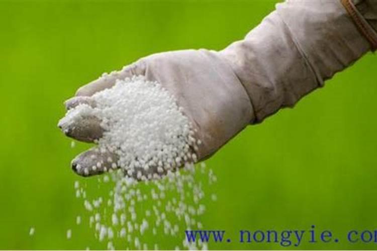 果树秋季施氮肥可以吗