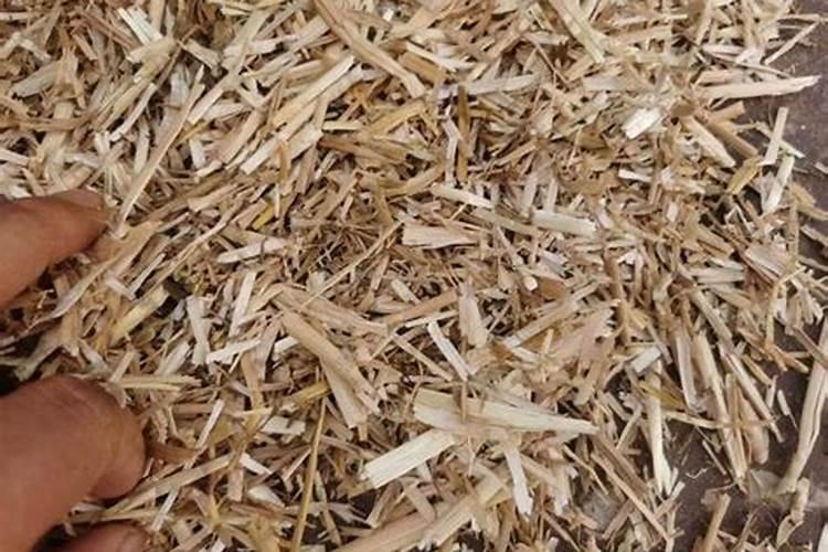 小麦的桔梗做什么最有用