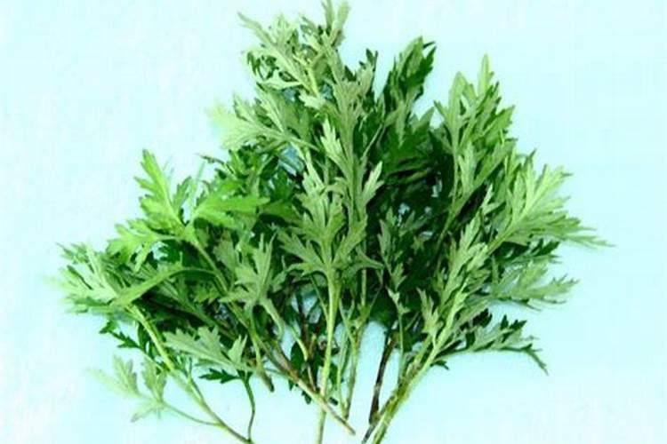 花椒,肉桂,艾绒,肉桂,白术,一起用的作用有哪些？