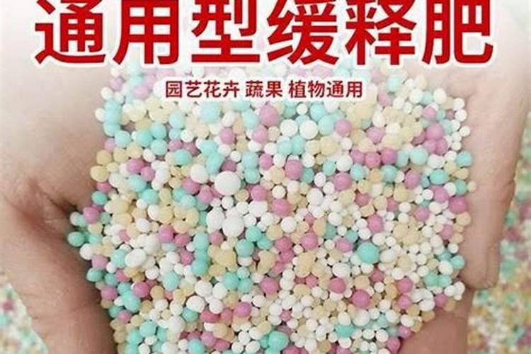 遵义火龙果麒麟果