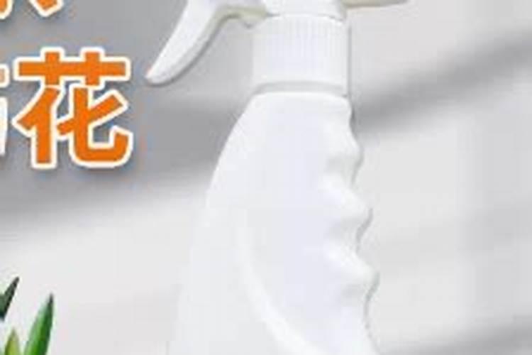 兰花杀虫之后多久施肥