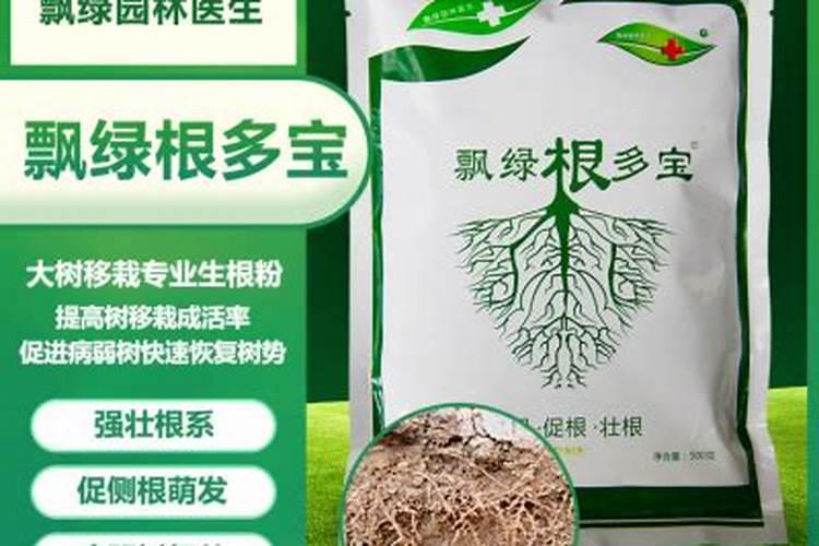 促进植物生根的方法是什么？