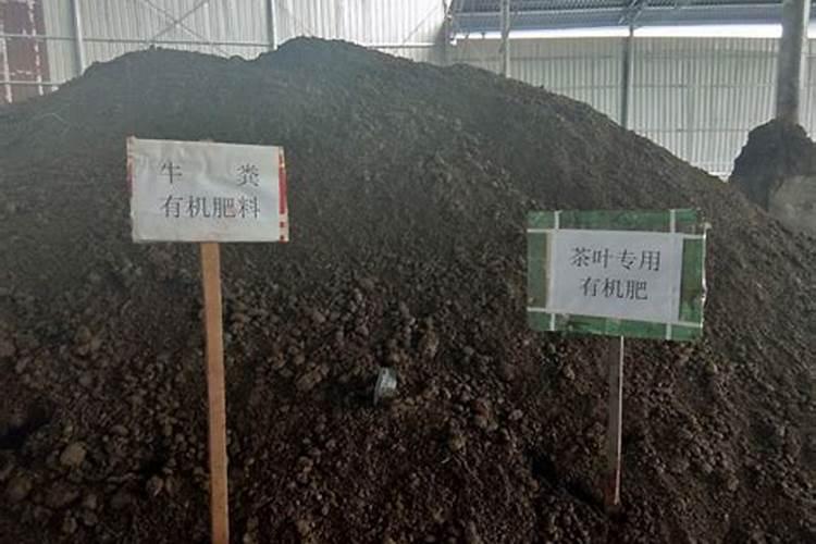 种10亩高粱挣不到1瓶茅台钱是真的吗？