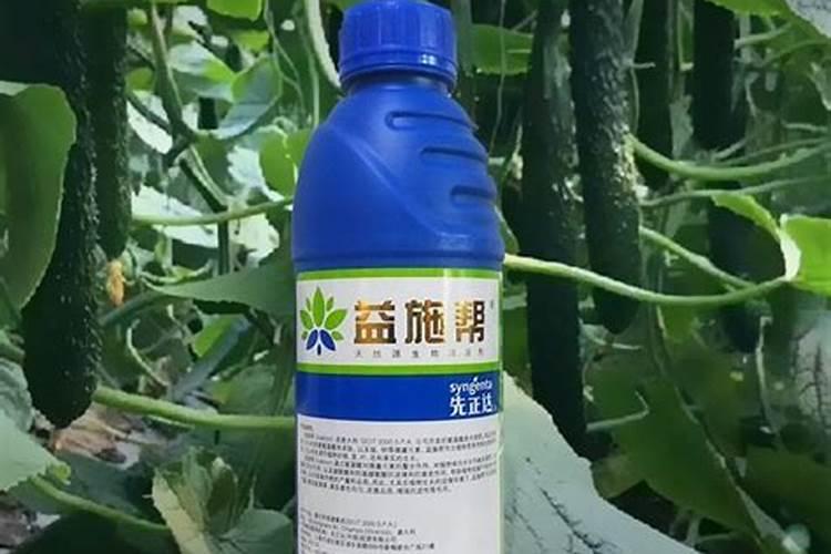 稀土叶面肥哪家公司好