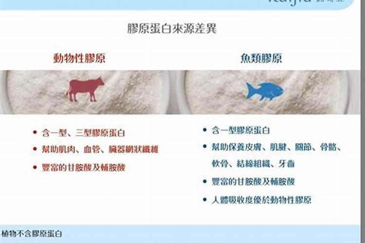 植物蛋白与动物蛋白的区别