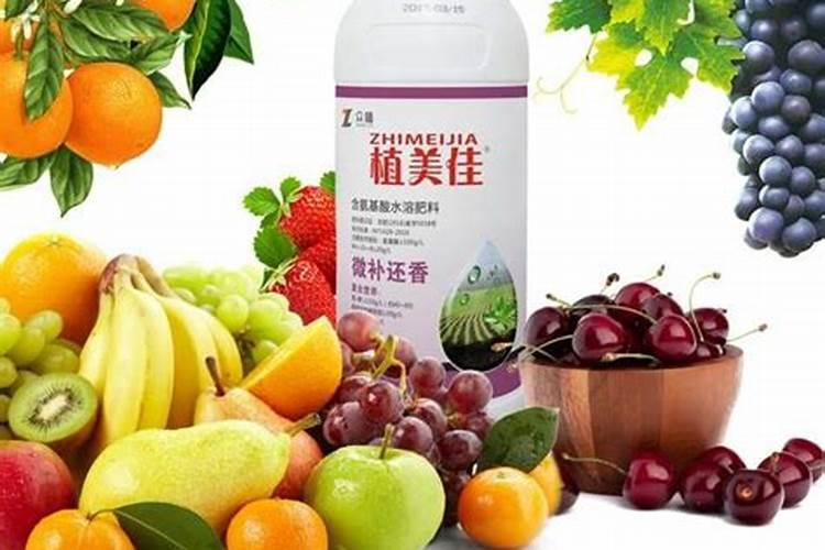 橘子施什么肥最好