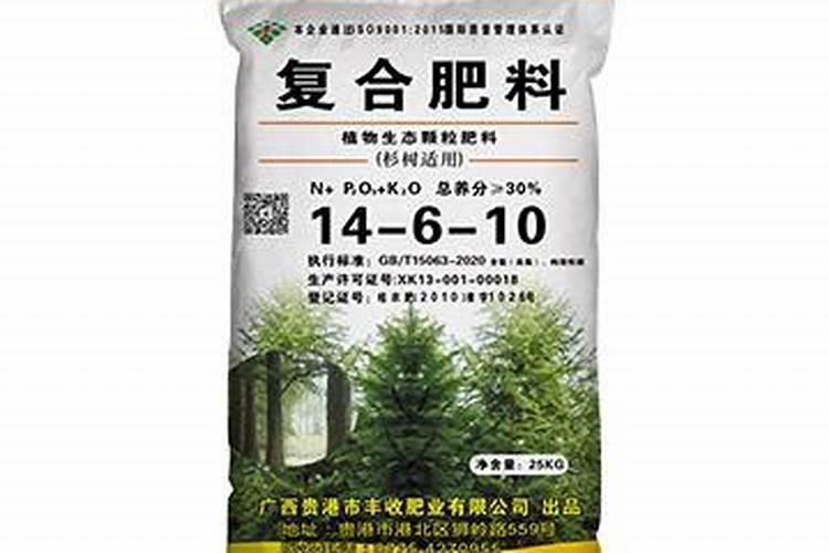 杉树什么月份施肥最合适