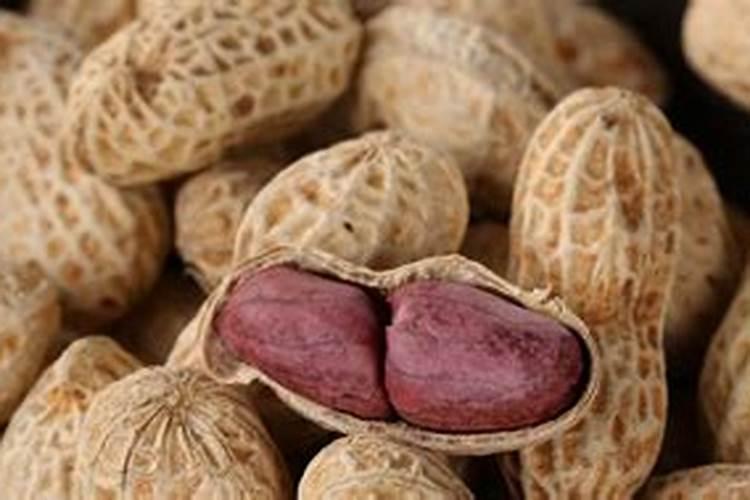 花生苗期叶片发黄怎么办？