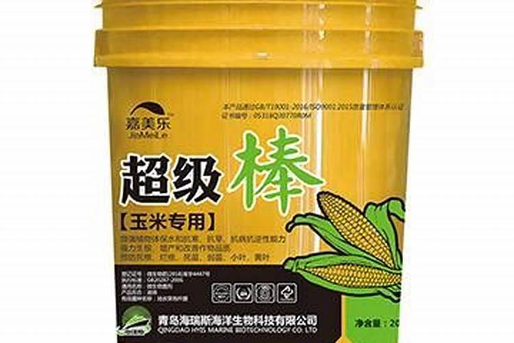 冲施肥滴灌玉米好吗