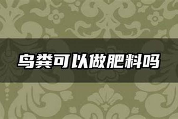 鸟粪可以给兰花施肥吗？