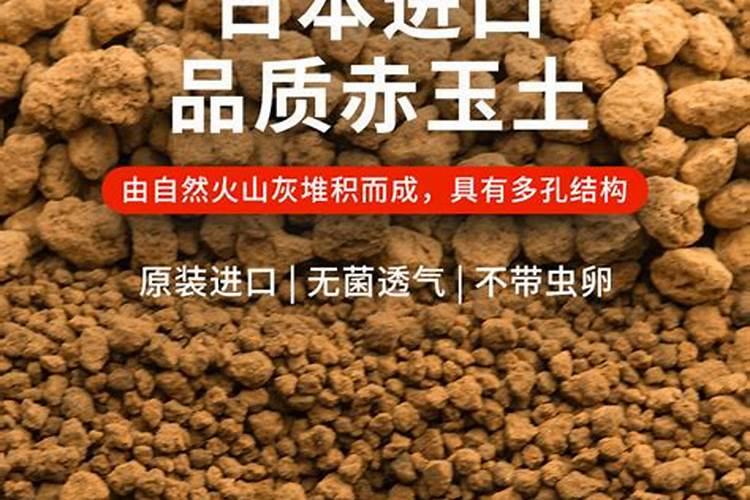 红糖做生根肥配方生根肥怎样正确使用