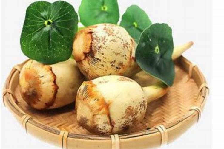 茨菇空鼓是什么原因造成的