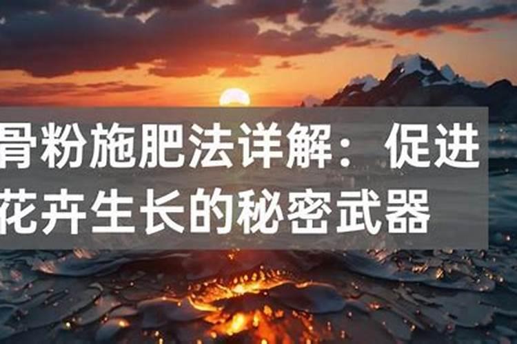 茉莉花的养殖方法和注意事项