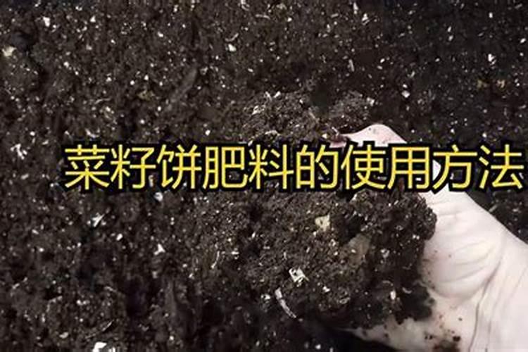 菜籽饼直接使用的方法