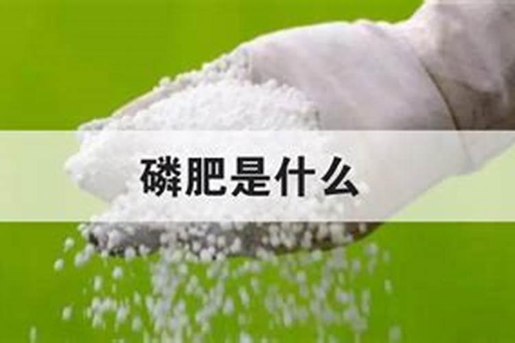 怎样施用磷肥,肥效好、利用率高呢？