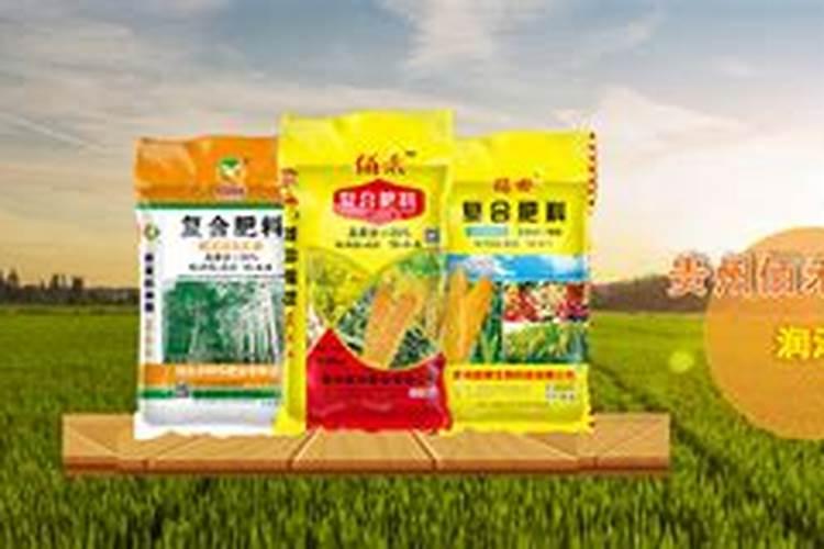 贵州省 有比较大的有机肥厂吗