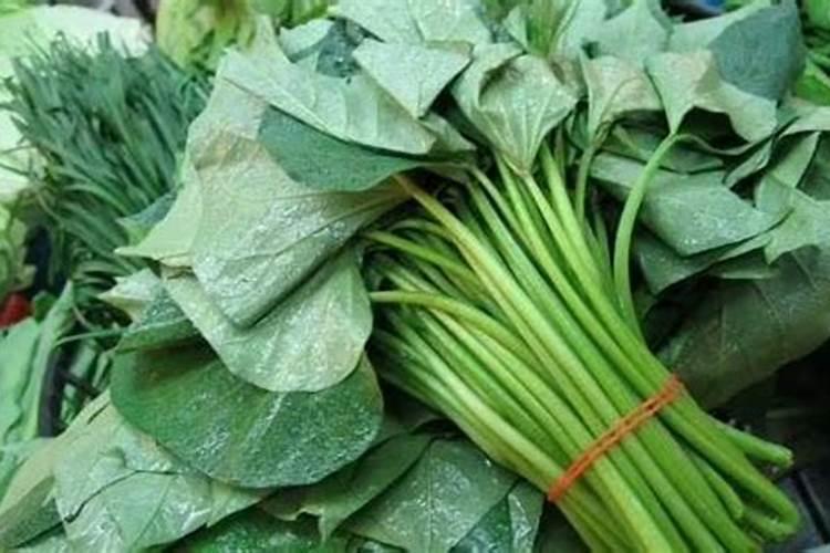 红薯肥料专用配方里都有啥