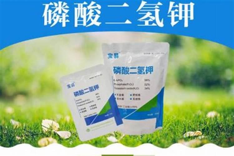 中国最好的叶面肥