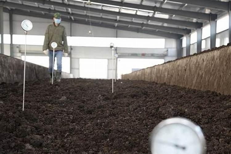 如何用发酵淘米水等自制花肥