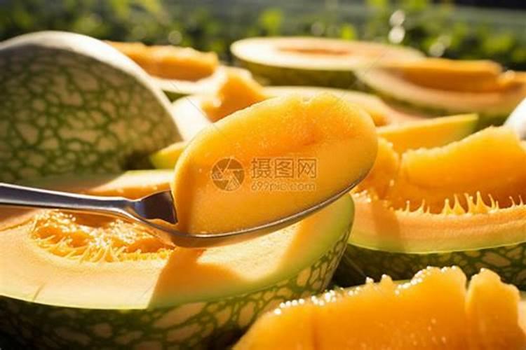 各位老师帮帮忙看下这个哈密瓜的叶子是怎么了？