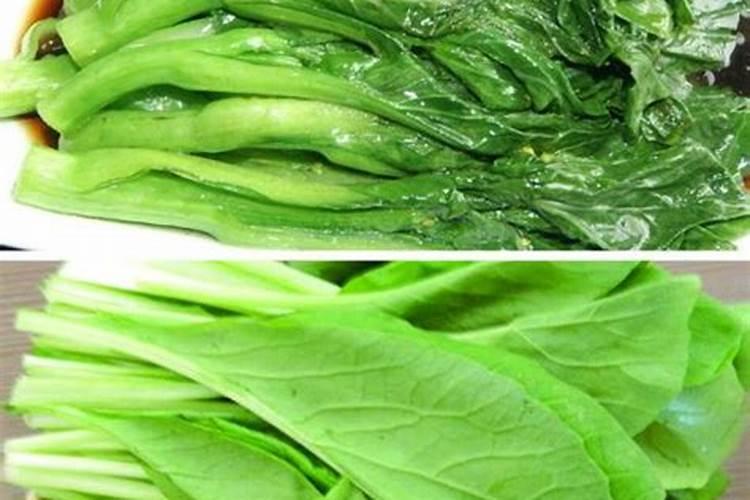 种青菜用什么肥料好