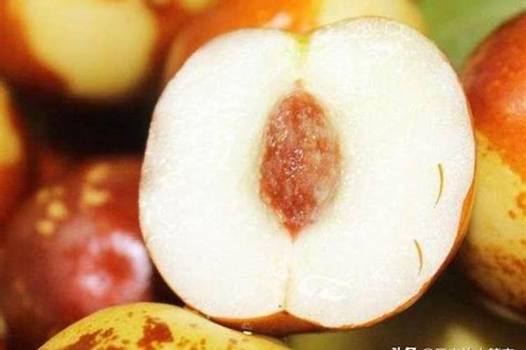 冬枣什么时候用芸苔素最好