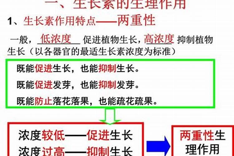 茶花春季浇什么肥料好