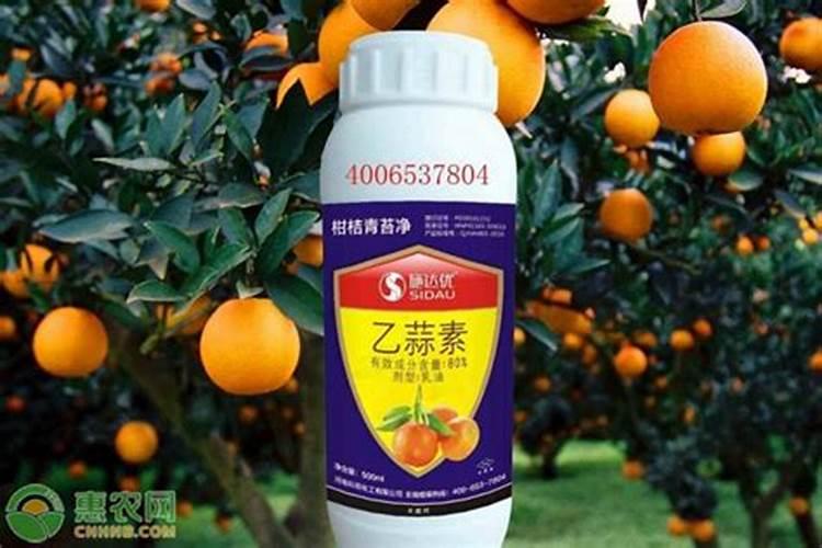 是不是葡萄树只要下雨过后都要打杀菌药