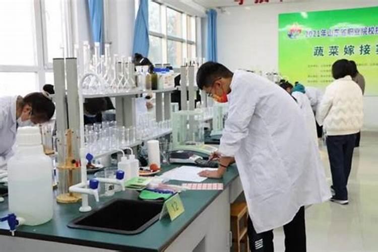 大量元素水溶肥的作用与功效