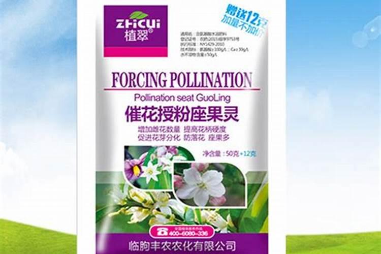 苦瓜结果了需要施什么肥