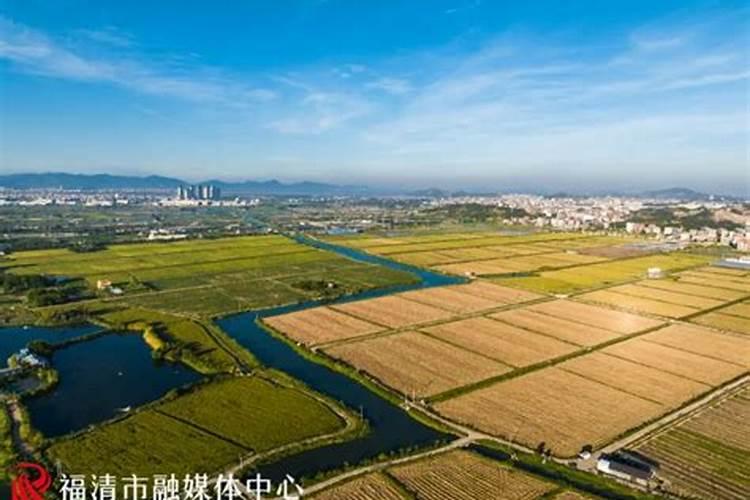 水稻灌浆期能喷糖醇钙镁水溶肥吗？